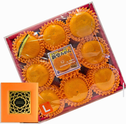 Arida - Shindo Mikan (Seedless) | Wakayama Prefecture | L Size Gift Box