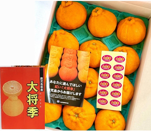 Daimasaki Dekopon (Seedless) | Kagoshima Prefecture | 3L Size 12 Pcs