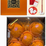 Daimasaki Dekopon (Seedless) | Kagoshima Prefecture | 7L Size 5 Pcs Orange Gift Box