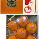 Daimasaki Dekopon (Seedless) | Kagoshima Prefecture | 3L Size 6 Pcs Gift Box