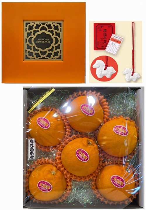 Daimasaki Dekopon (Seedless) | Kagoshima Prefecture | 3L Size 6 Pcs Gift Box