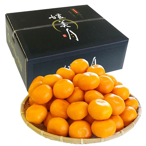 Hime Tsuki Mikan (Premium Grade - Tokushu Shu) | Ehime Prefecture | S Size