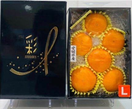 Hinomaru Mikan | Ehime Prefecture | L Size 12 Pcs