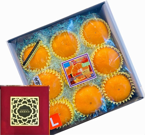 Hinomaru Mikan | Ehime Prefecture | L Size 9 Pcs