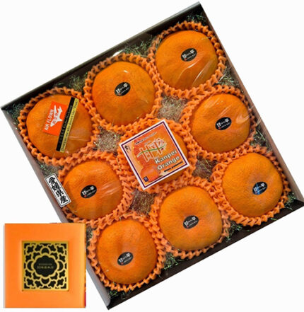 Kanpei Orange | Ehime Prefecture | 9 Pcs