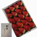 Karatsu Ichigosan (Premium Quality) | Saga Prefecture | 20 Pcs