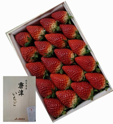 Karatsu Ichigosan (Premium Quality) | Saga Prefecture | 20 Pcs