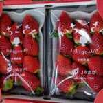 Karatsu Ichigosan (Premium Quality) | Saga Prefecture | Pack