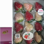 Kotoka & Yukisakura (Mixed) | Nara Prefecture | 12 Pcs Gift Box