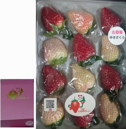 Kotoka & Yukisakura (Mixed) | Nara Prefecture | 12 Pcs Gift Box