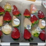 Kotoka & Yukisakura (Mixed) | Nara Prefecture | Pack