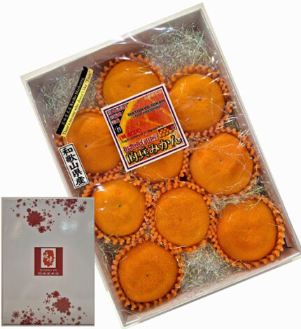 Matohyo Mikan (Luxury Grade - Akashu) (Seedless) | Wakayama Prefecture | M Size 9 Pcs Gift Box