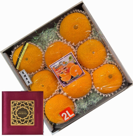 Nakajima Madonna Orange | Ehime Prefecture | 2L Size 8 Pcs Red Gift Box