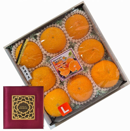 Nakajima Madonna Orange | Ehime Prefecture | L Size 9 Pcs Red Gift Box