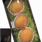 Oushu Pear (Big Size) | Tottori Prefecture | 3 Pcs