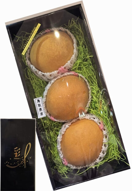 Oushu Pear (Big Size) | Tottori Prefecture | 3 Pcs