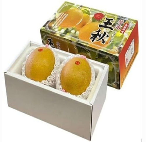 Oushu Pear (Big Size) | Tottori Prefecture | 2 Pcs