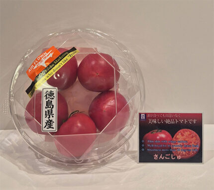 Sangojyo Tomato (Coral Tree) - Farm Direct | Tokushima Prefecture | M Size Pack