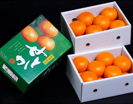 Setoka Orange (Seedless) | Saga Prefecture | 12 Pcs 2.5kg