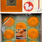 Setoka Orange (Seedless) | Saga Prefecture | 3L Size 8 Pcs Premium Gift Box