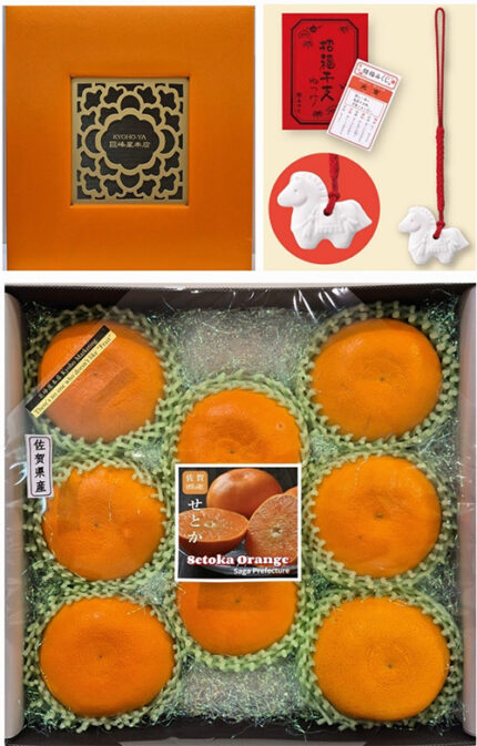 Setoka Orange (Seedless) | Saga Prefecture | 3L Size 8 Pcs Premium Gift Box