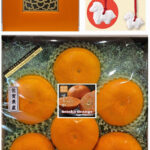 Setoka Orange (Seedless) | Saga Prefecture | 2L Size 6 Pcs Premium Gift Box