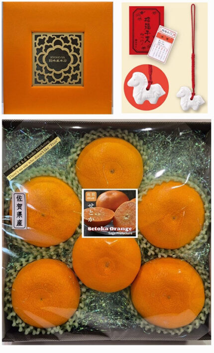 Setoka Orange (Seedless) | Saga Prefecture | 2L Size 6 Pcs Premium Gift Box