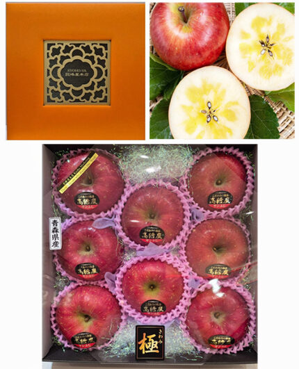Special Selected Sun Fuji Apple (High Sugar Level with Honey) | Aomori Prefecture | 3L Size 6 Pcs