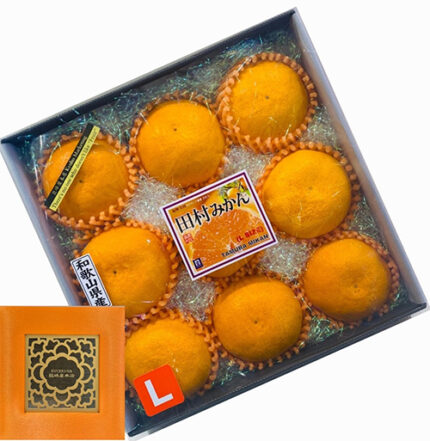 Special Selected Tamura Mikan - Seedless (Kominami Farm Direct) | Wakayama Prefecture | L Size