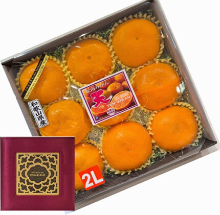 TEN - Kinnan Mikan Top | Wakayama Prefecture | 2L Size