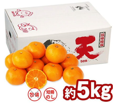 TEN - Kinnan Mikan Top | Wakayama Prefecture | M Size 45 Pcs