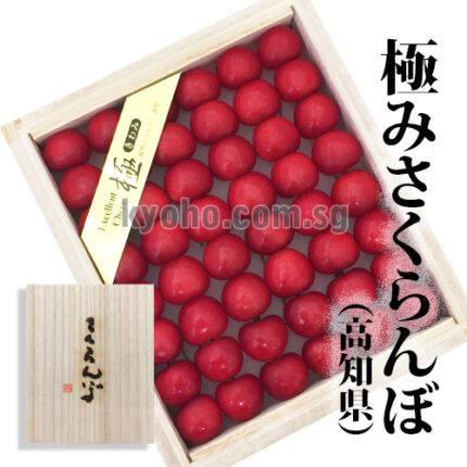 Satou Nishiki Cherry | Kouchi Prefecture | L Size