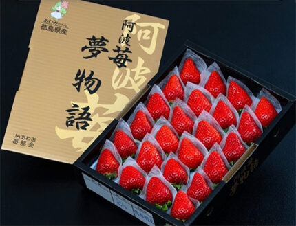 Awa Strawberry Yume Monogatari - Yumenoka | Tokushima Prefecture