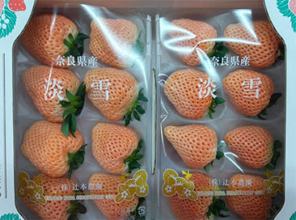 Awayuki Strawberry | Nara Prefecture | Box