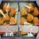Awayuki Strawberry | Nara Prefecture | 4L Size