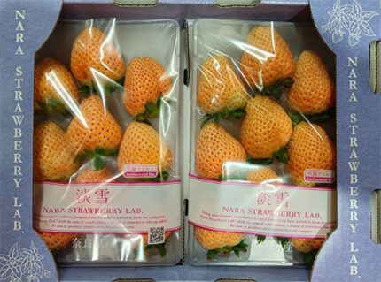 Awayuki Strawberry | Nara Prefecture | 3L Size