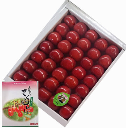 Benishuhou Cherry | Kouchi Prefecture | 3L Size