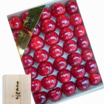 Benishuhou Cherry | Kouchi Prefecture | 3L Size