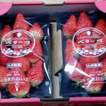 Berrytsu Strawberry | Oita Prefecture
