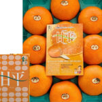 Kanpei Orange | Ehime Prefecture | 3L Size 10 Pcs