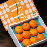 Kanpei Orange | Ehime Prefecture | 3L Size 10 Pcs