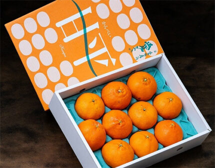 Kanpei Orange | Ehime Prefecture | 3L Size 10 Pcs