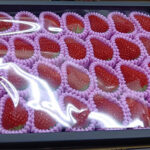 Kyo no Shizuku Strawberry | Kyoto City | Gift Box