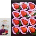 Ookimi Strawberry (High Grade) | Kouchi Prefecture | Gift Box