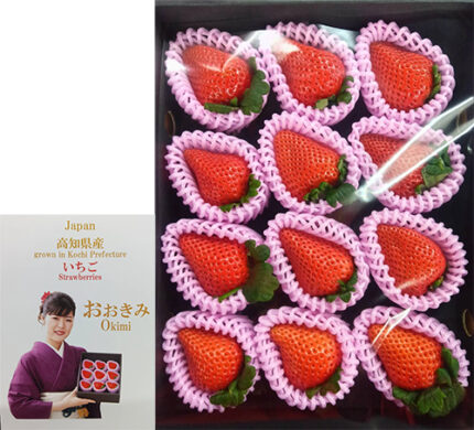 Ookimi Strawberry (High Grade) | Kouchi Prefecture | Gift Box