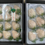 "RUBY" White Strawberry | Saga Prefecture