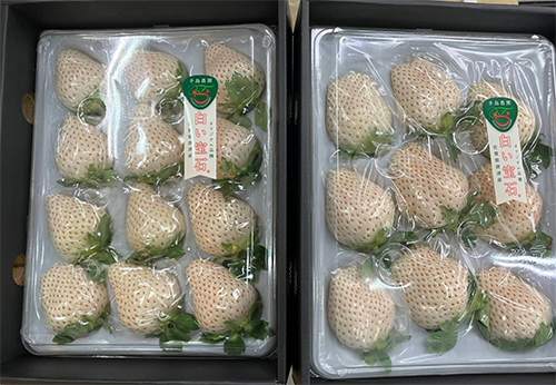 "RUBY" White Strawberry | Saga Prefecture