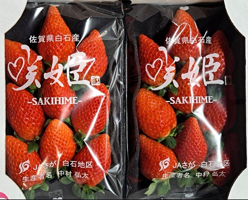 Sakihime Strawberry | Deluxe Grade | Saga Prefecture | 4L Size