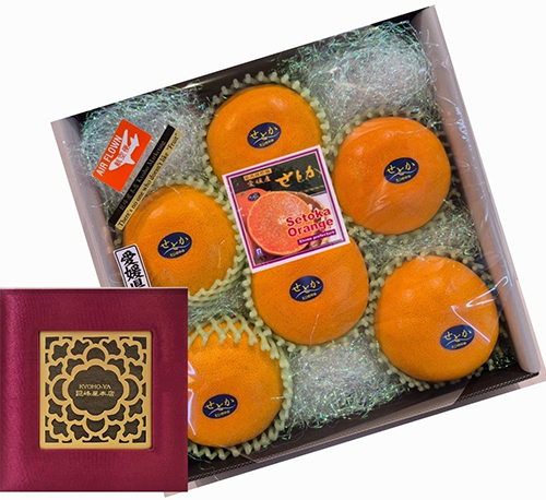 Setoka Orange (Seedless) | Ehime Prefecture | 2L Size 6 Pcs Dark Green Box