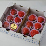 Tochiaika Strawberry | Deluxe Grade - Farm Direct | Tochigi Prefecture | Ichiban